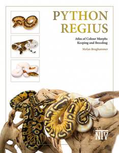 python_regius_atlas_of_colour_morphs_keeping_and_breeding