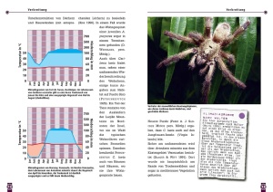 ratgeber_zur_haltung_der_martinique-baumvogelspinne_im_terrarium_1