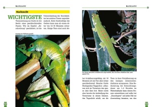 ratgeber_zur_haltung_des_grossen_madagaskar-taggeckos_im_terrarium_3