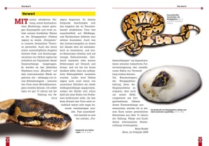 ratgeber_zur_haltung_des_koenigypythons_-_python_regius_-_im_terrarium_1