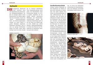 ratgeber_zur_haltung_des_koenigypythons_-_python_regius_-_im_terrarium_3