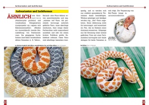 ratgeber_zur_haltung_und_nachzucht_der_westlichen_hakennasennatter_3