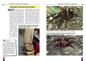 ratgeber_zur_haltung_von_riesenvogelspinnen_im_terrarium_1