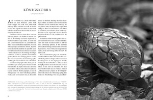 reptilia_-_koepfe_der_urzeit_2