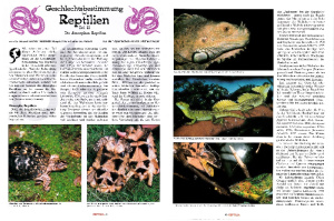reptilia_02_3