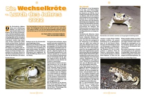 reptilia_157_-_die_karibik_im_terrarium_2