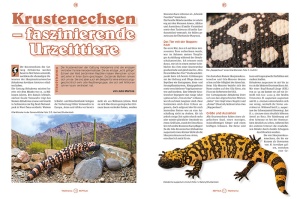 reptilia_158_-_krustenechsen_-_die_gattung_heloderma_1