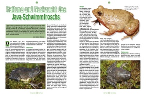 reptilia_159_-_artgerecht_1