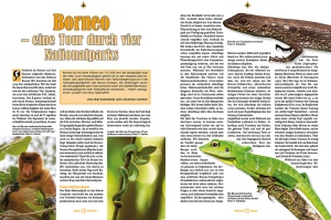 reptilia_159_-_artgerecht_3