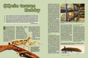 reptilia_160_-_terraristik_-_ein_teures_hobby_1