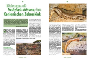 reptilia_160_-_terraristik_-_ein_teures_hobby_2