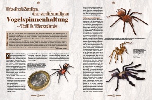 reptilia_162_-_sachkundige_vogelspinnenhaltung_1