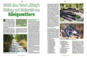 reptilia_162_-_sachkundige_vogelspinnenhaltung_2
