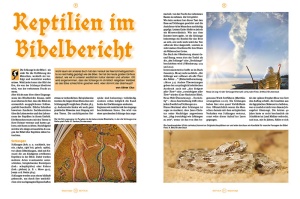 reptilia_162_-_sachkundige_vogelspinnenhaltung_3