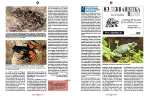 reptilia_164_-_ochsenfrosch_und_co_1