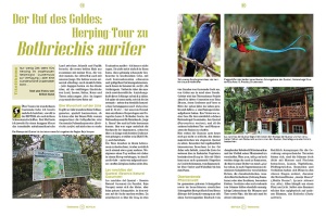 reptilia_166_herpeto-hotspot_guatemala_1