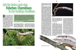 reptilia_167_-_ausgezeichneter_artenschutz_-_schildkrotenschutz_durch_erhaltungszucht_im_allwetterzoo_munster_2