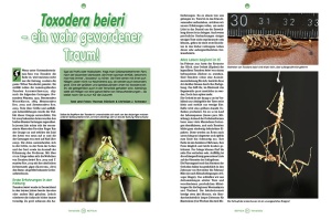 reptilia_167_-_ausgezeichneter_artenschutz_-_schildkrotenschutz_durch_erhaltungszucht_im_allwetterzoo_munster_3