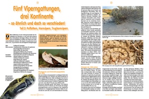 reptilia_169_-_ein_haus_fur_lurche_-_das_amphibium_im_erlebnis-zoo_hannover_3