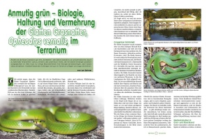 reptilia_170_-_schmetterlinge_in_der_terraristik_2_1874787418