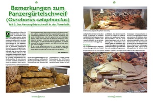 reptilia_172_-_salamander_und_molche_halten_und_zuechten_2