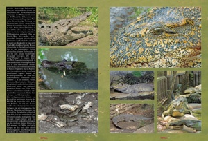 reptilia_87_-_krokodile_-_urzeittiere_in_gefahr_1