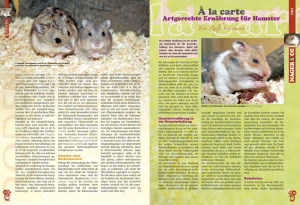 rodentia2_1347229286