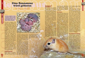 rodentia_57-13