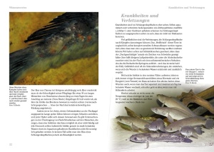 schlangenkopffische_2_1698070798