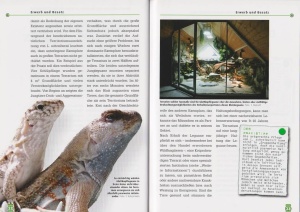schreibers_glattkopfleguan_9783937285702_2_1983517092