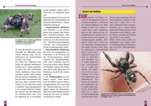 springspinnen_-_phidippus_hyllus_plexippus_2_599780807