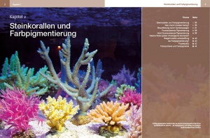 steinkorallen_im_aquarium_9783866592605_seiten_34-35