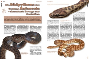terraria_72_-_pythons_-_riesenschlangen_in_der_terraristik_1