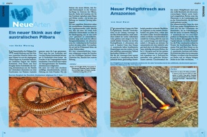 terraria_72_-_pythons_-_riesenschlangen_in_der_terraristik_3