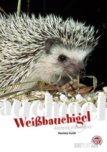 weissbauchigel_atelerix_albiventris_167226181