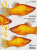amazonas_16_platys