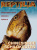 reptilia_74_chinesische_schildkroeten