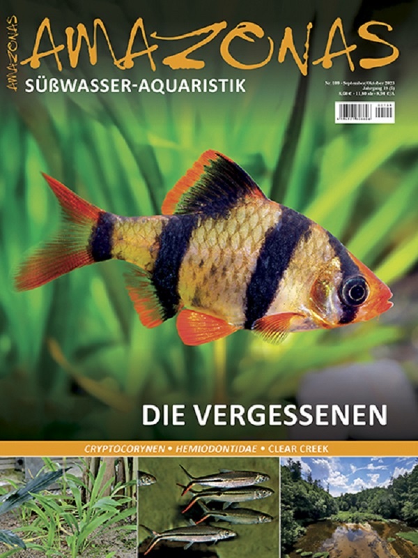 amazonas_109_die_vergessenen_1904575670