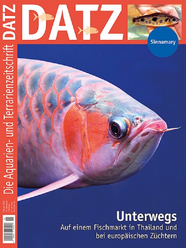 datz0121