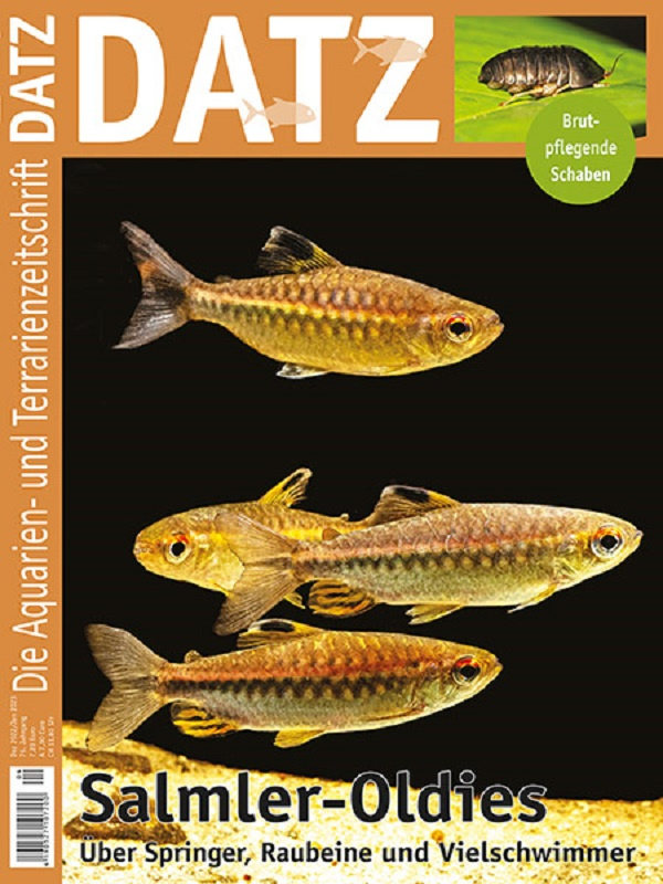 datz_06-2022_oldies_but_goldies_1778147971