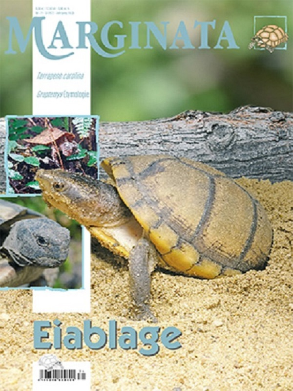 marginata_71_eiablage_703828618