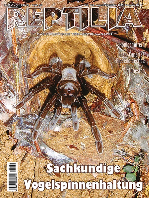 reptilia_162_sachkundige_vogelspinnenhaltung_1787827724