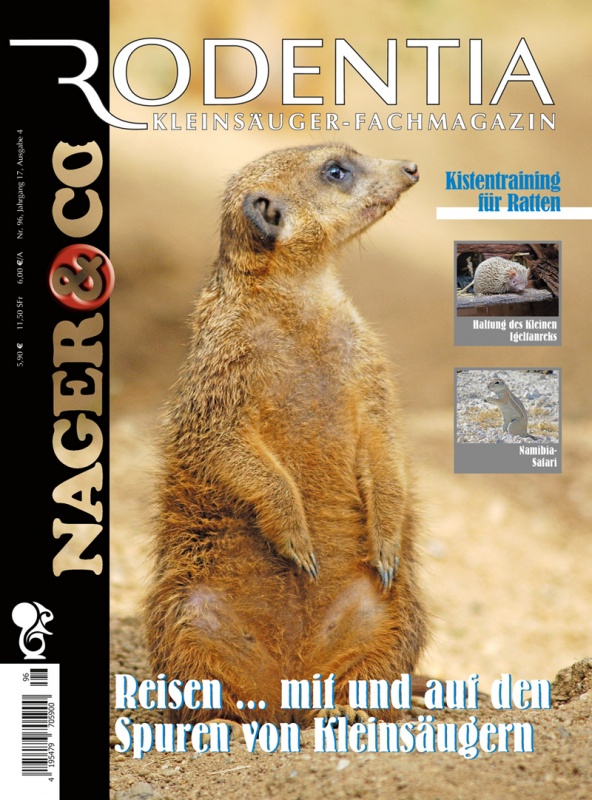 rodentia_96_623931344