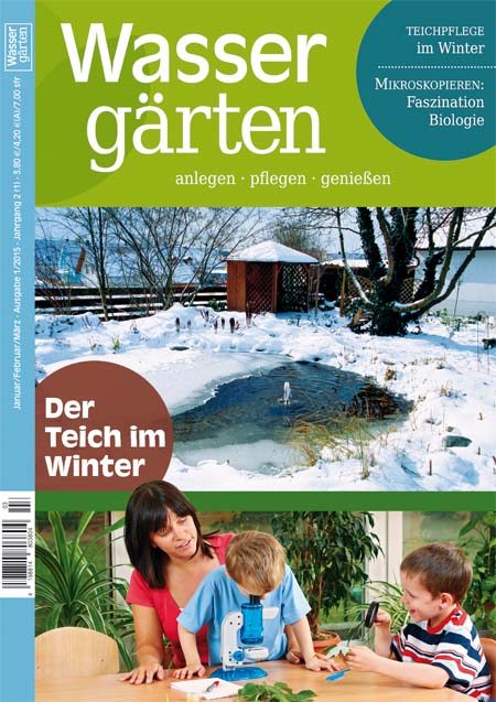 wassergaerten_der_teich_im_winter
